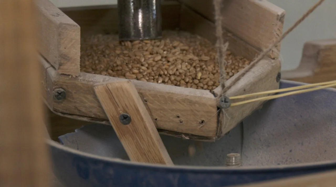 Суспільне Вінниця