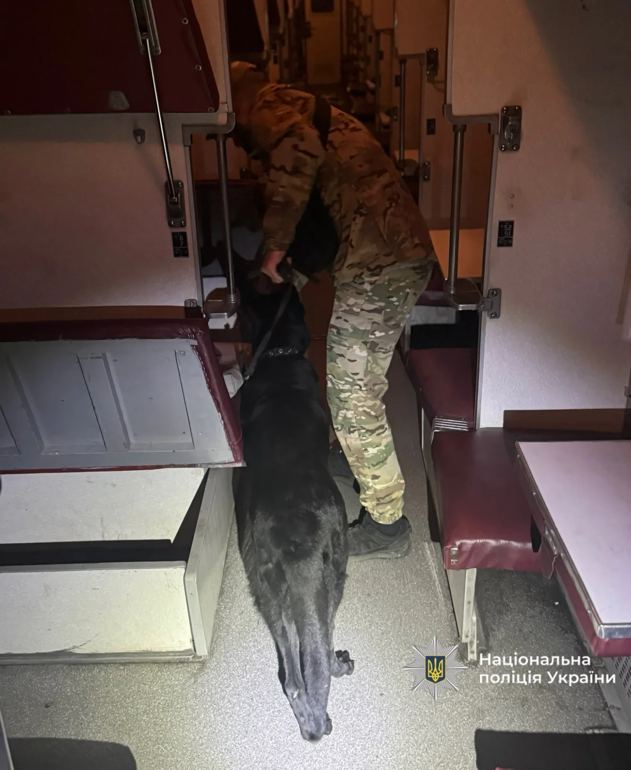 Проверка поезда Черновцы-Ивано-Франковск - Запорожье после сообщения о заминировании 12 октября 2025 года (Фото: Поліція Івано-Франківської області via Facebook)