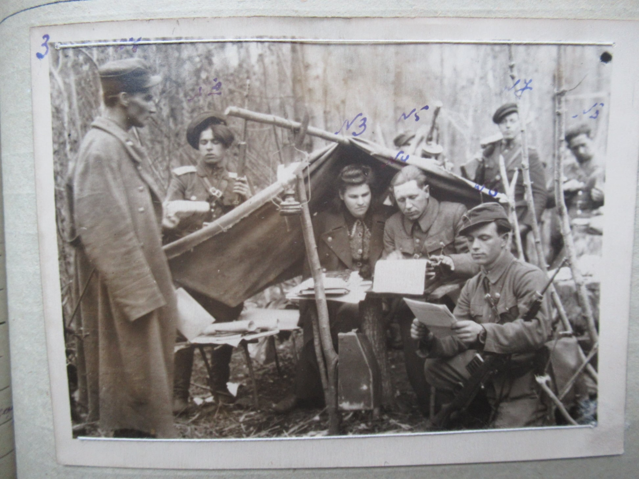 Табиғаттағы қарт адамдар Легинстердегі қисық бөкселері бар қыздардың фотосуреттері