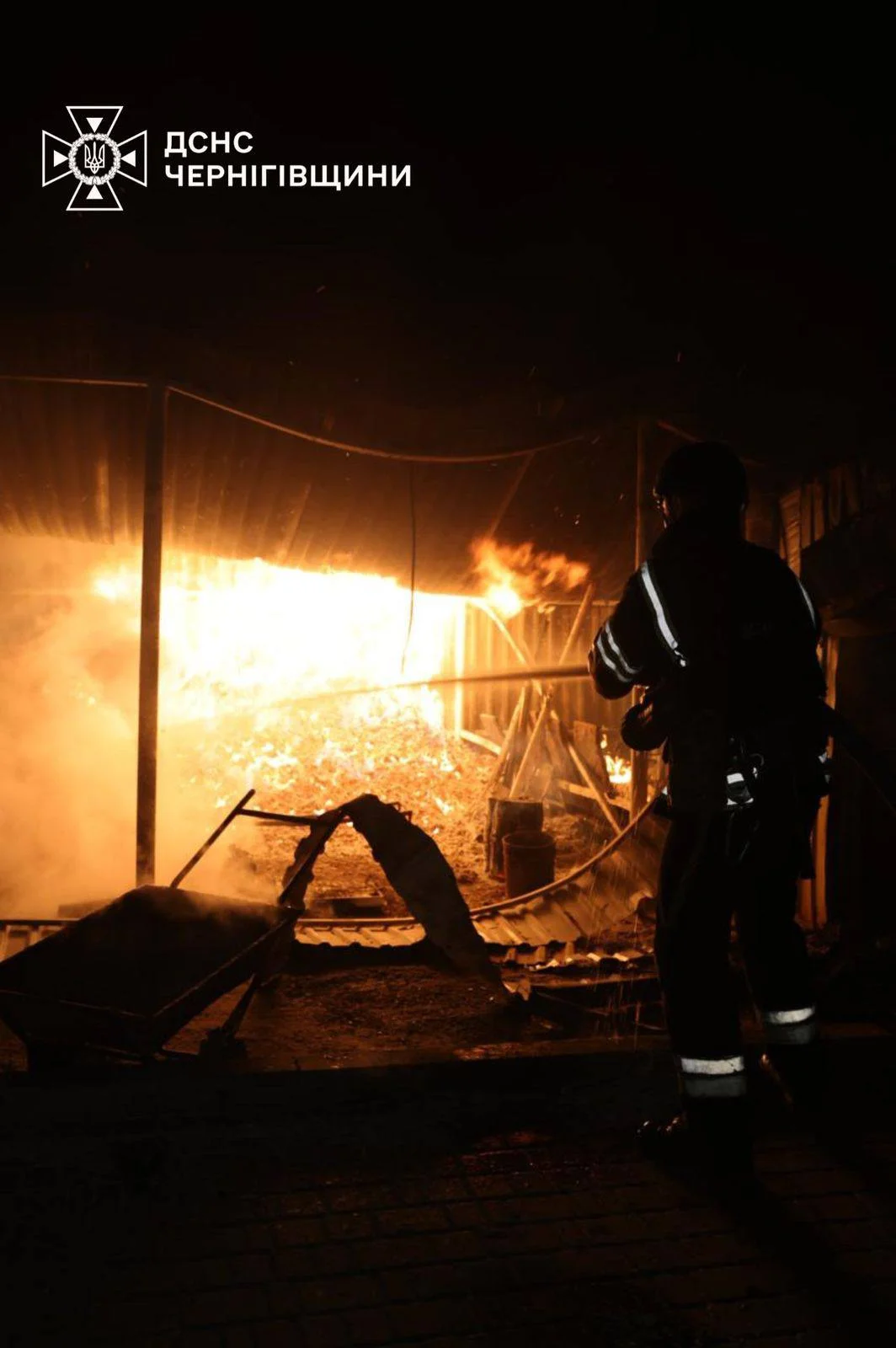 ГСЧС Украины/Telegram