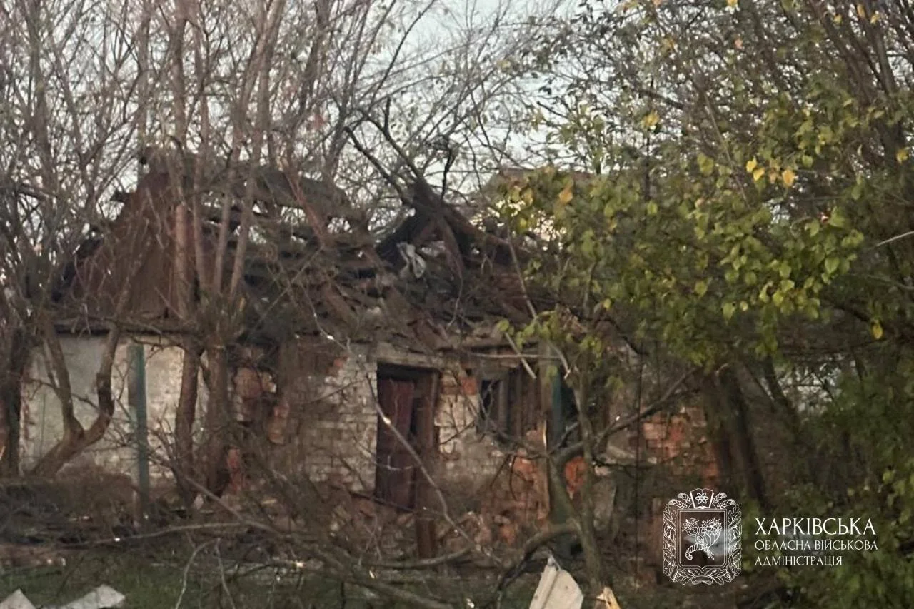 Олег Синєгубов via Telegram