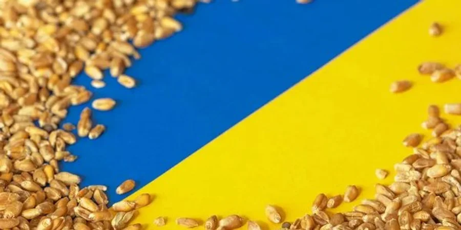 Нові квоти на експорт у ЄС змусять зерновиків шукати інші ринки (Фото: Depositphotos)