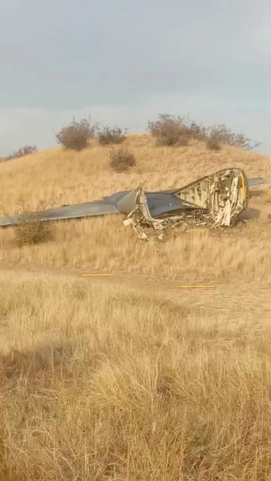 1TV.Georgia/Handout via REUTERS