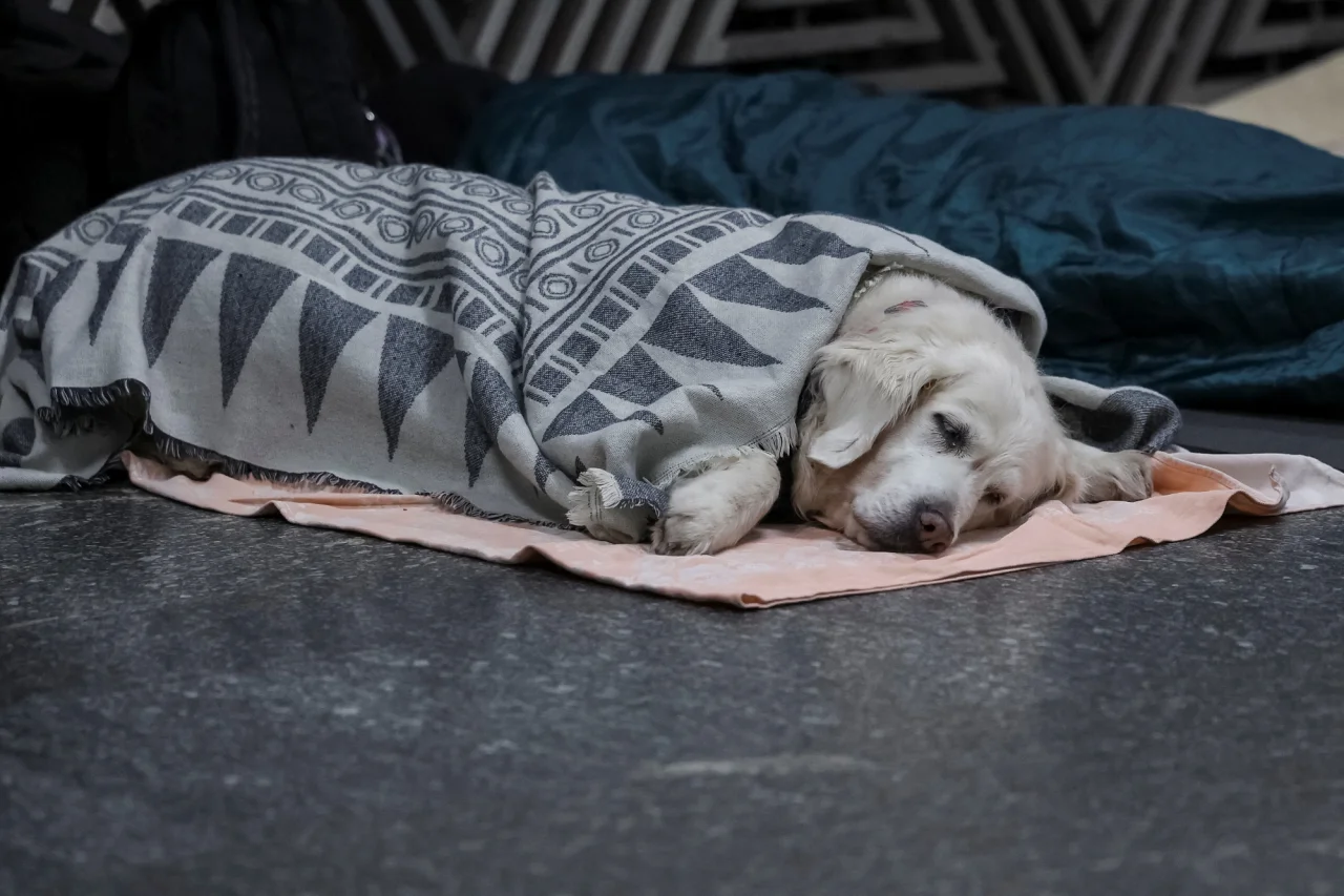 REUTERS/Yan Dobronosov