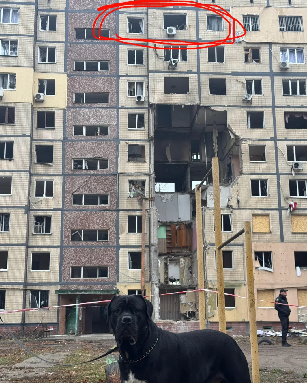 Facebook Alena Sheglova