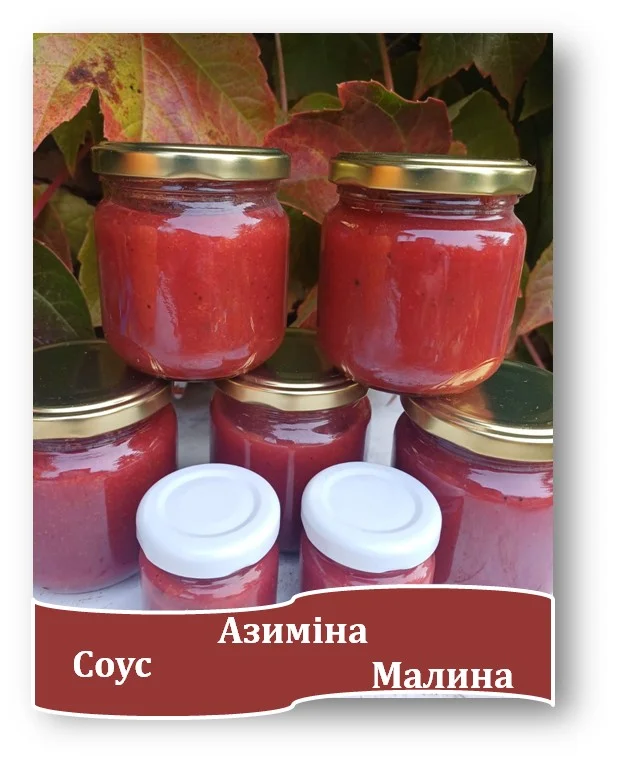 Соус из плодов озимых (Фото: Отдел акклиматизации плодовых растений Национального ботанического сада им. М. М. Гришко НАН Украины)