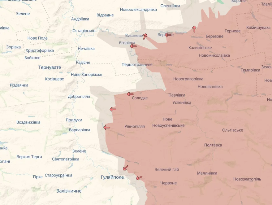 Продвижение россиян в Запорожской области (Фото: Deep State)