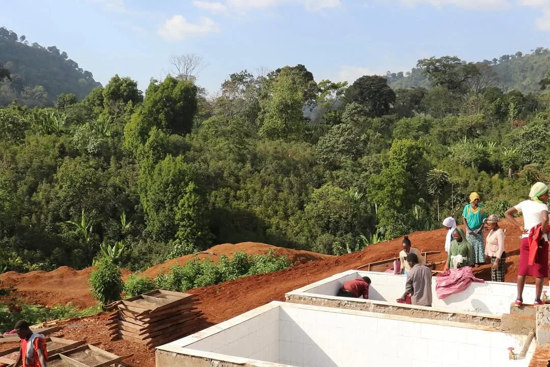 Кава в Ефіопії (Фото: Instagram @williamsonscoffeeusa)