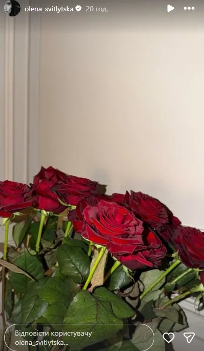 instagram.com/olena_svitlytska