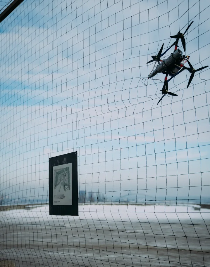 Культурные силы