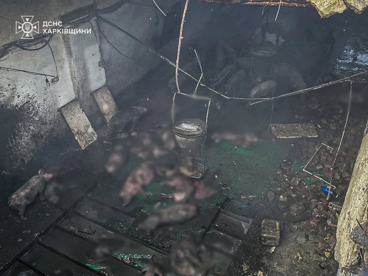 ГСЧС Украины / Facebook