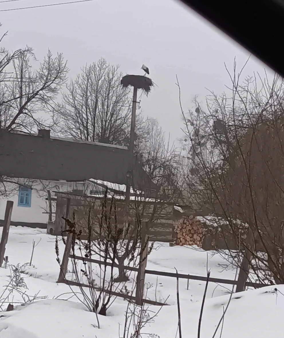 Михайло Франчук/Facebook Vitaly Grishchenko