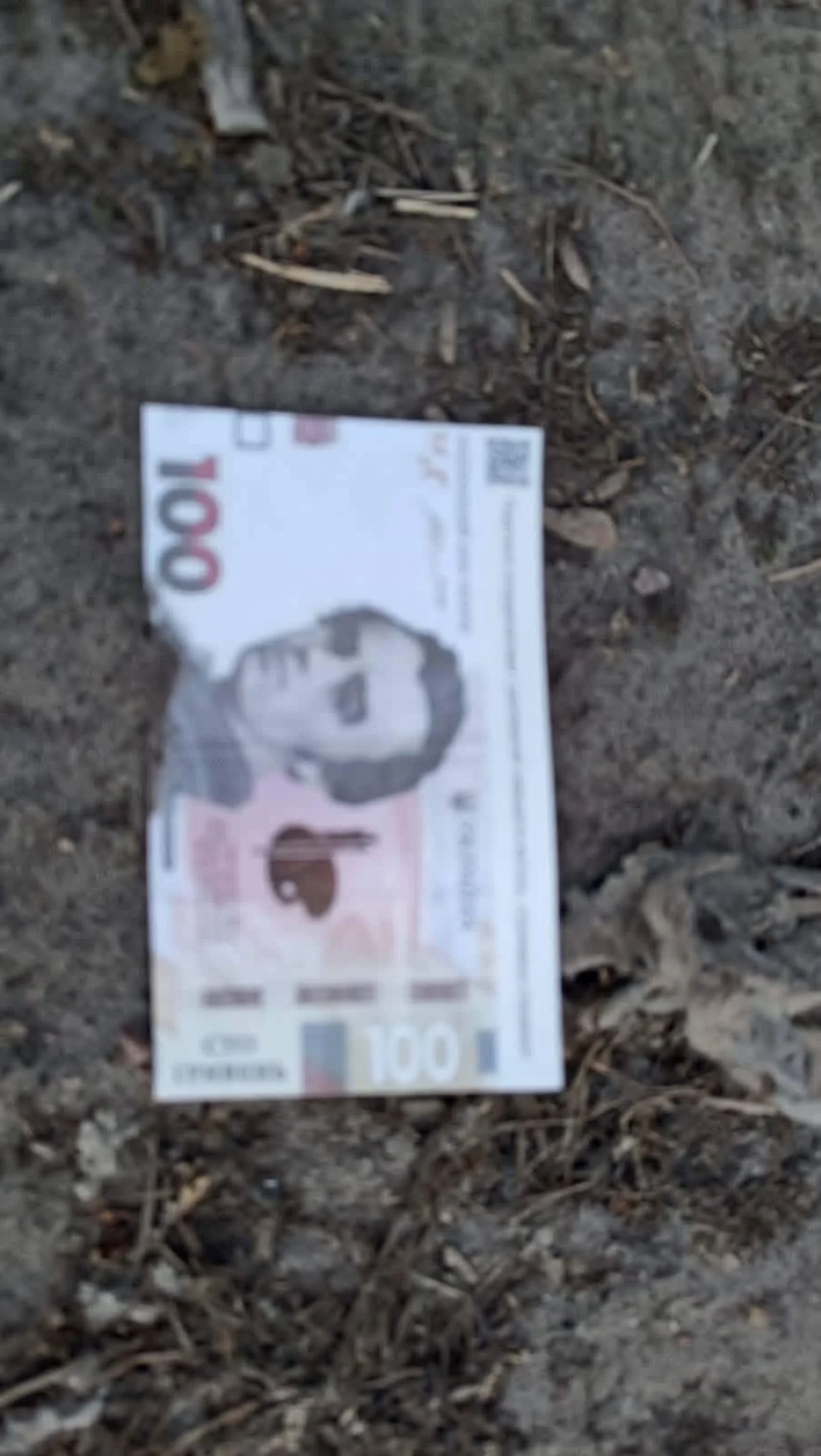 Павел Мирошниченко / Facebook