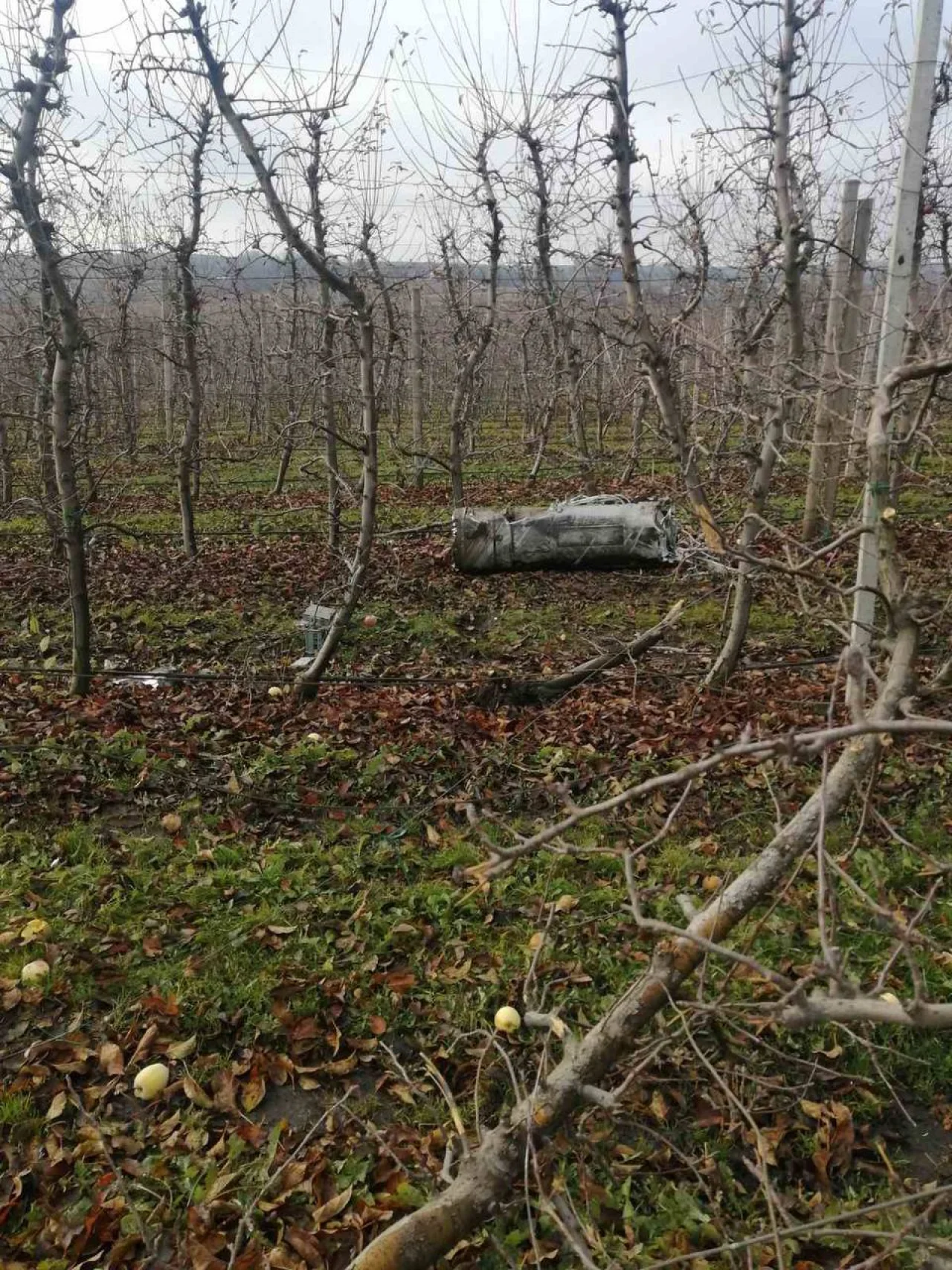Львівське підприємство «Сади Галичини»