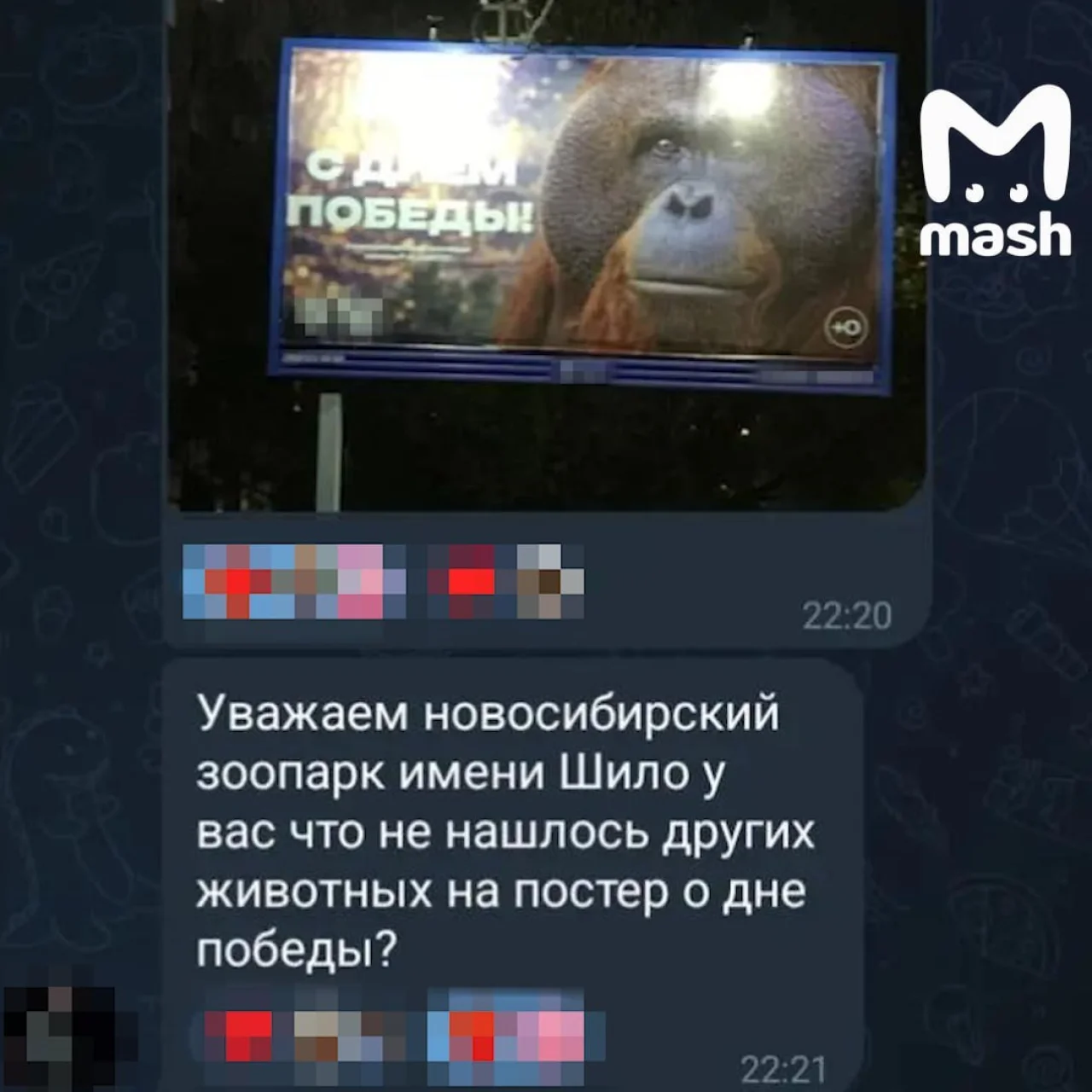 t.me/mash