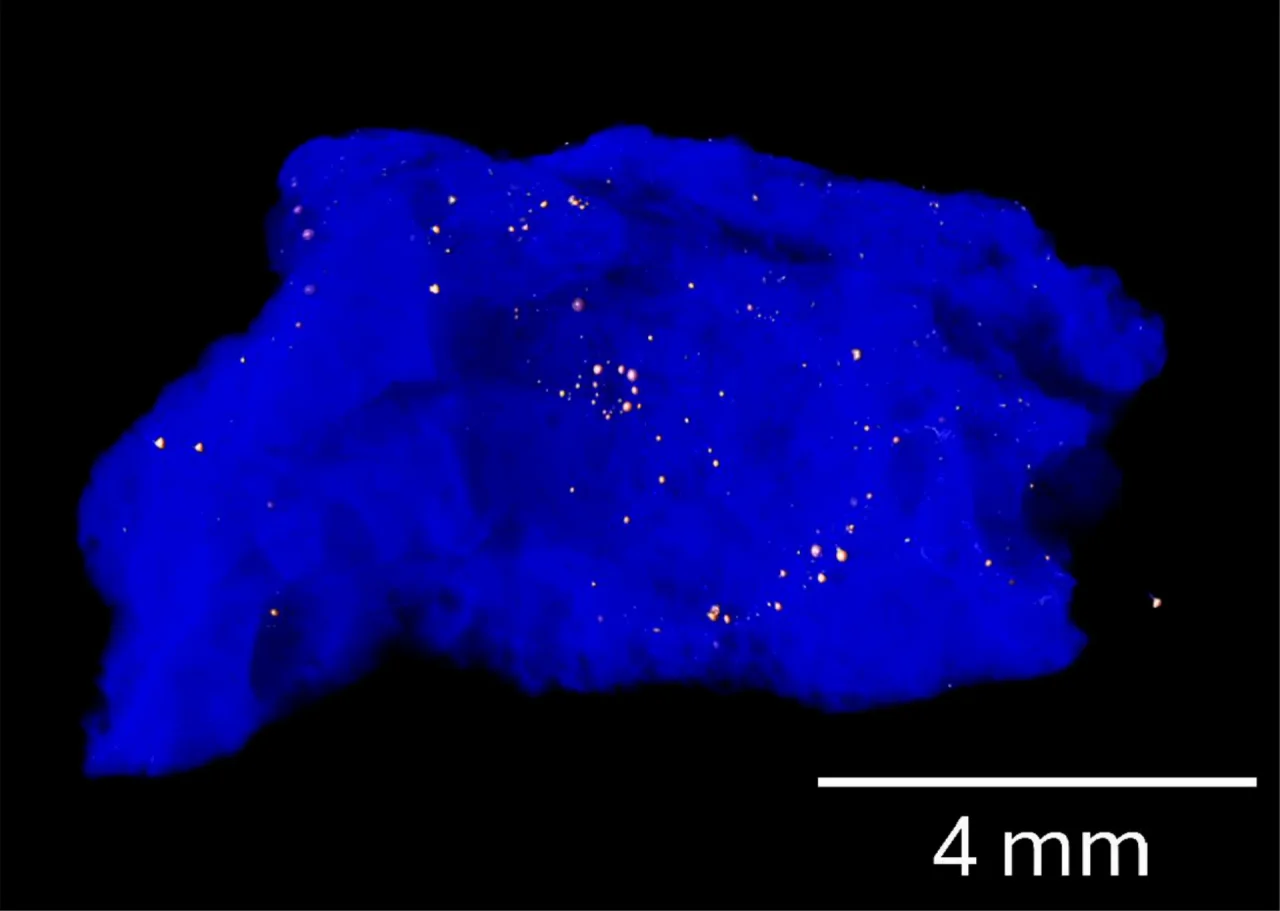 PNAS