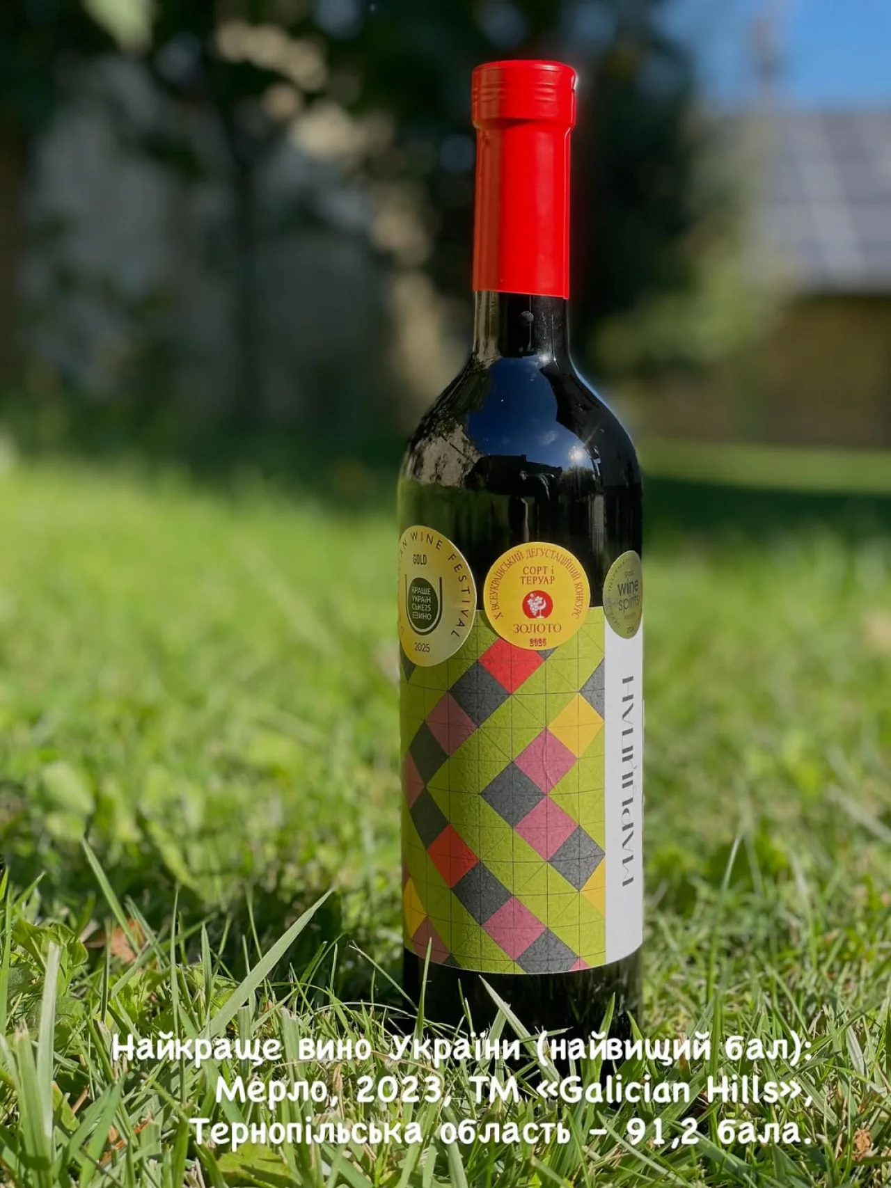 Галицкие холмы высоко оценены ведущими сомелье (Фото: instagram/galician_hills)