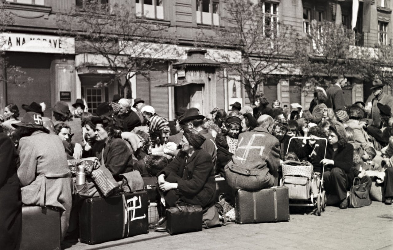 14e2f94c4a69aacd31bcced2cb3ebaf4.jpg?q=8