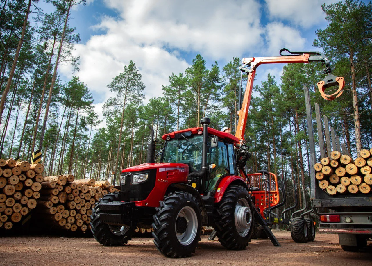 ДП «Ліси України»