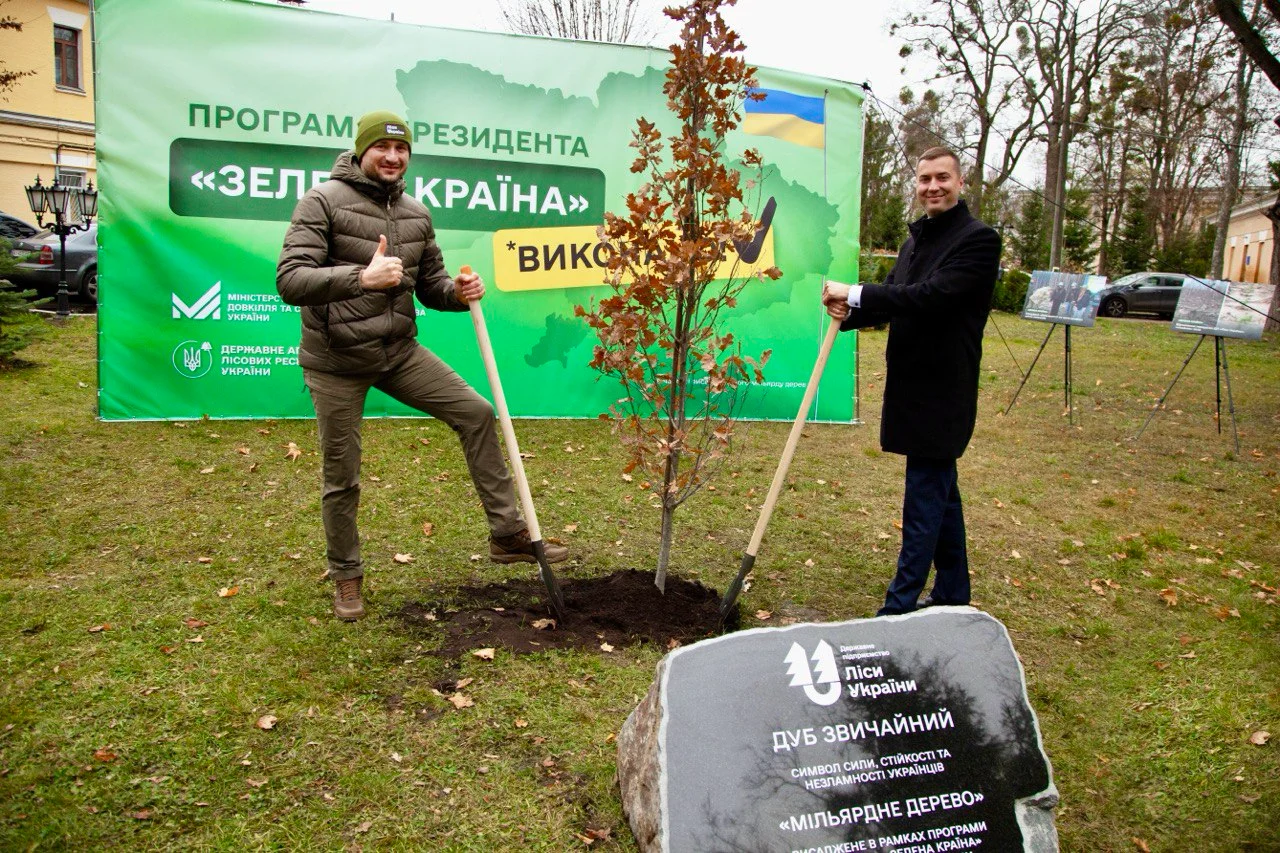 ДП «Ліси України»